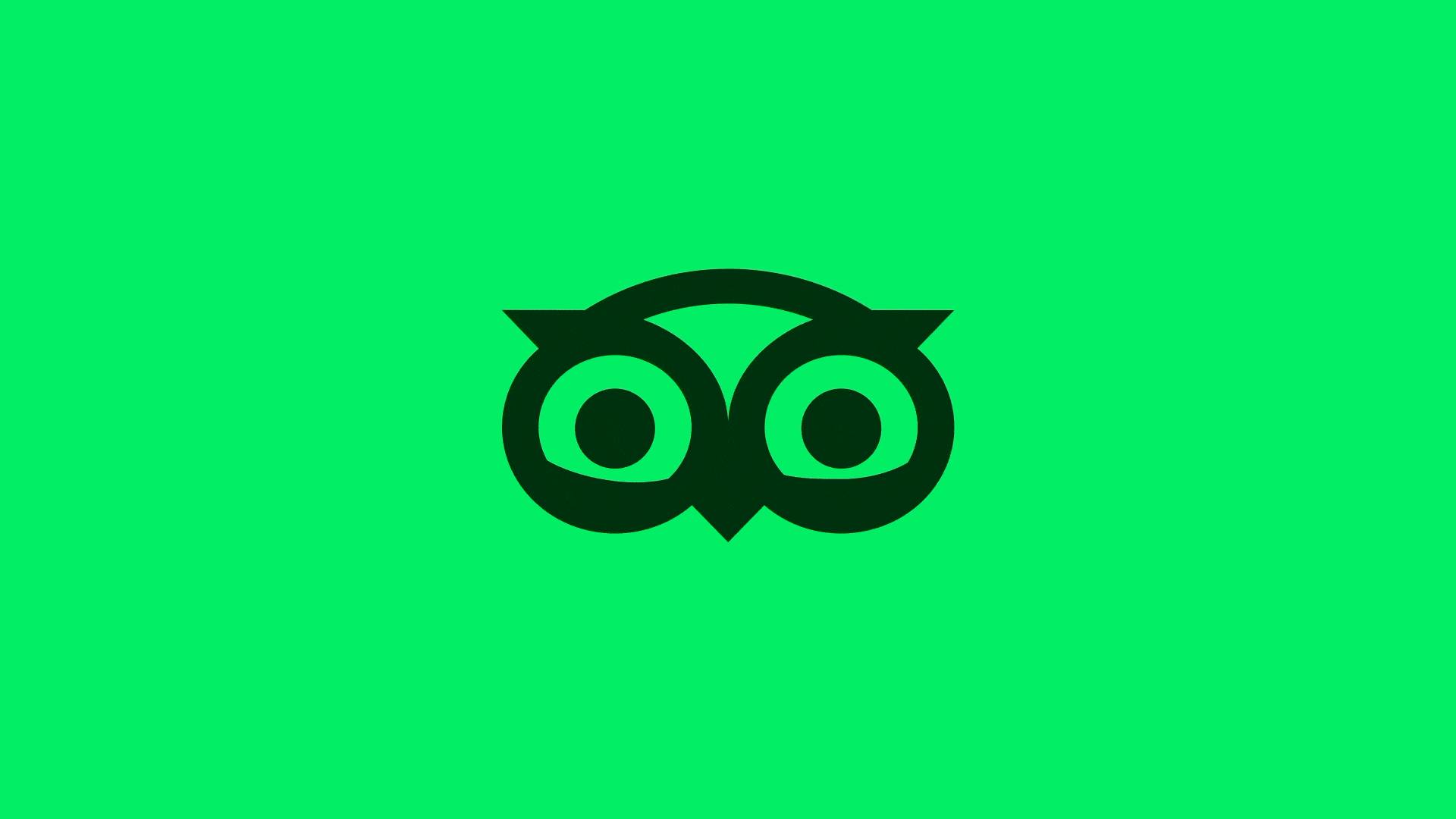Animación GIF que muestra la construcción geométrica del nuevo logo de Tripadvisor, destacando su simplicidad y diseño moderno.